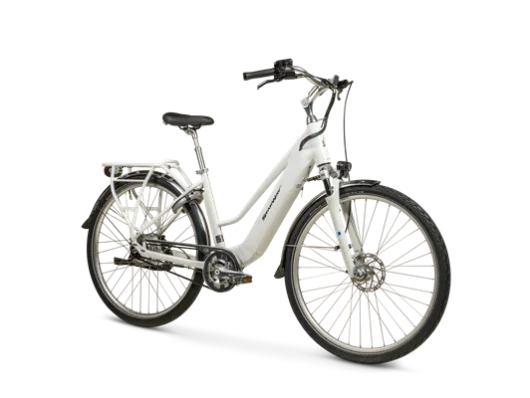 Vélo électrique Starway Touring